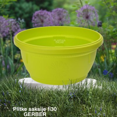 Plitke saksije fi20, gerber saksije, plasticne saksije, okrugle saksije, saksije za sukulente, Plitke saksije fi30, Plitke saksije fi25