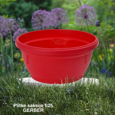 Plitke saksije fi25, gerber saksije, plasticne saksije, okrugle saksije, saksije za sukulente,