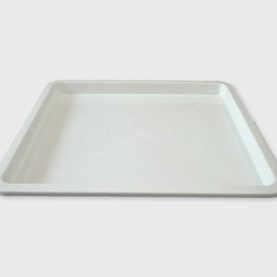 Tacna OM 31x31