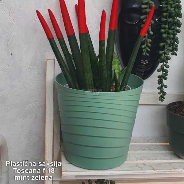 Saksija Toscana FI18cm , okrugla saksija, plasticna saksija