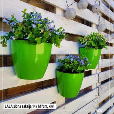 Saksija zidna lala H17cm sa separatorom