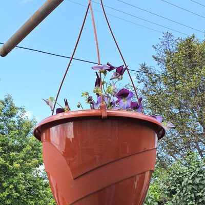 Saksija viseća ø21cm h17 /4L