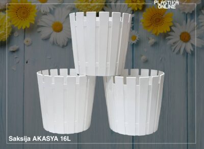 Saksija Akasya fi33 - 16L