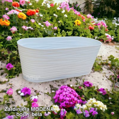 zardinjera modena , plasticna zardinjera, mala zardinjera, zardinjere