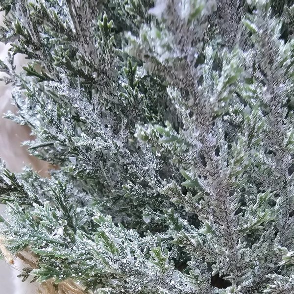 Jelka u Vreći 45 cm,Jelka sa veštačkim snegom, Jelka za sto, Jelka za kancelariju, Mini jelka za stan