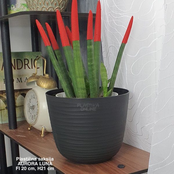 Saksija sa nogicama fi20, saksije za dvoriste, plasticne saksije za cvece, plasticna saksija sa nogicama