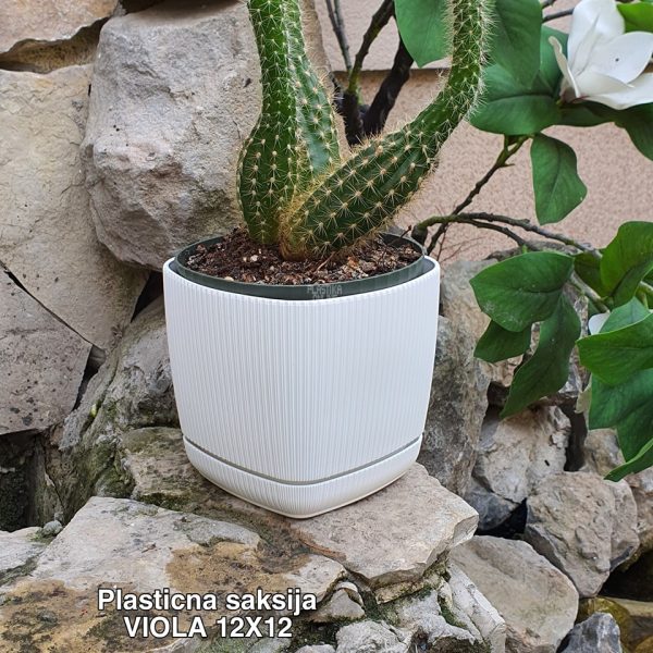 Plasticna saksija Viola 12x12 četvrtasta sa podmetacem - Image 10