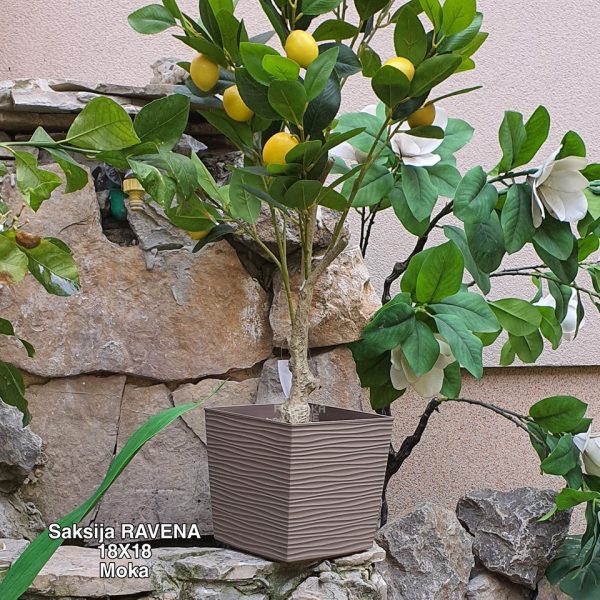 Četvrtasta saksija 18x18  , cetvrtaste saksije, saksije za bastu, plasticne saksije