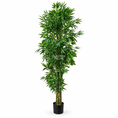 Ukrasno drvo 200cm BAMBUS