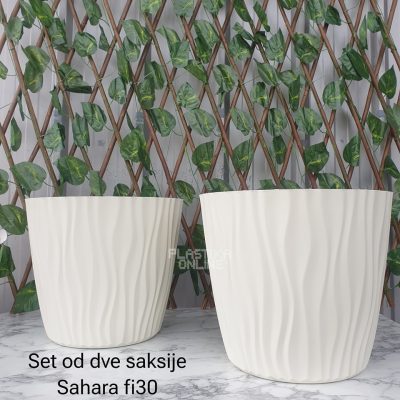 Set od 2 saksije Sahara fi30