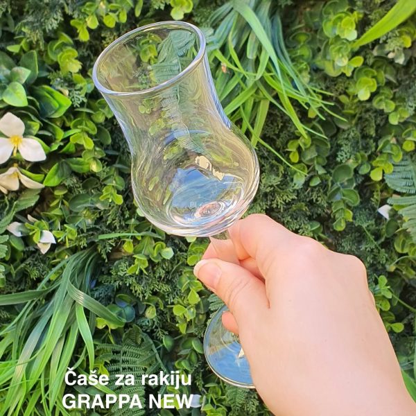 Riserva Grappa set čaša 6/1, Čaše za grappu, Staklene čaše na stopicu, Set čaša za rakiju, Elegantne čaše za posluženje, Održavanje staklenih čaša