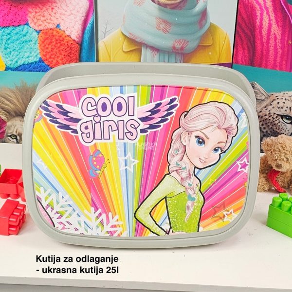 Kutije za odlaganje 25l , ukrasna kutija 25l Ukrasna kutija 25L , kutije za odlaganje, box sa dezenom , plasticne kutije od 25l cool girl