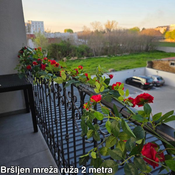 Bršljen mreža crvena ruža 2m 