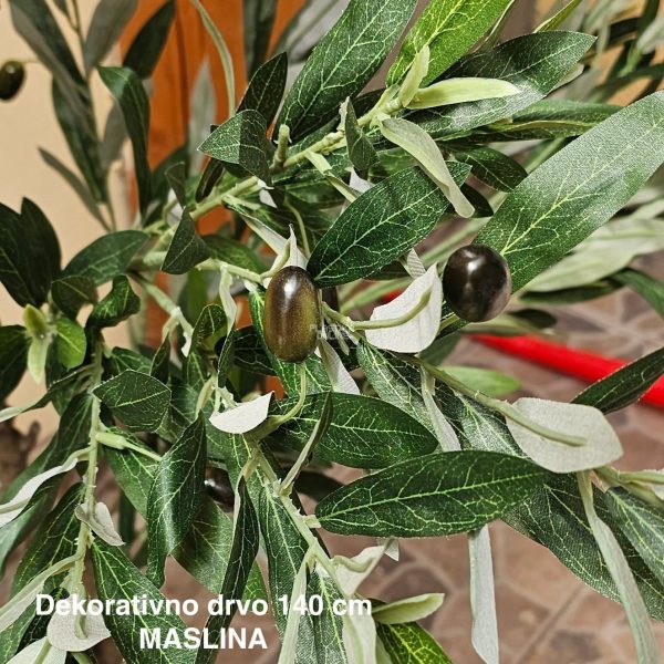Dekorativno drvo 140cm, drvo Maslina