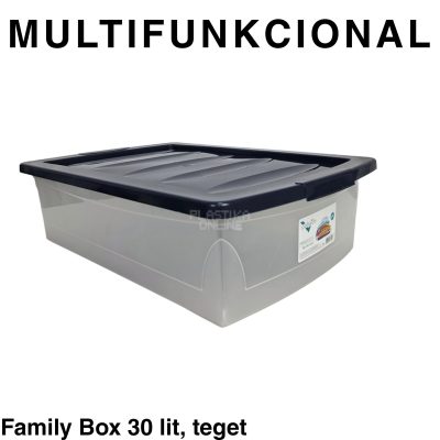 Kutija za odlaganje 30L - Family box 30l-TEGET