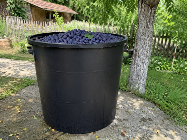 Plastična kaca 500L