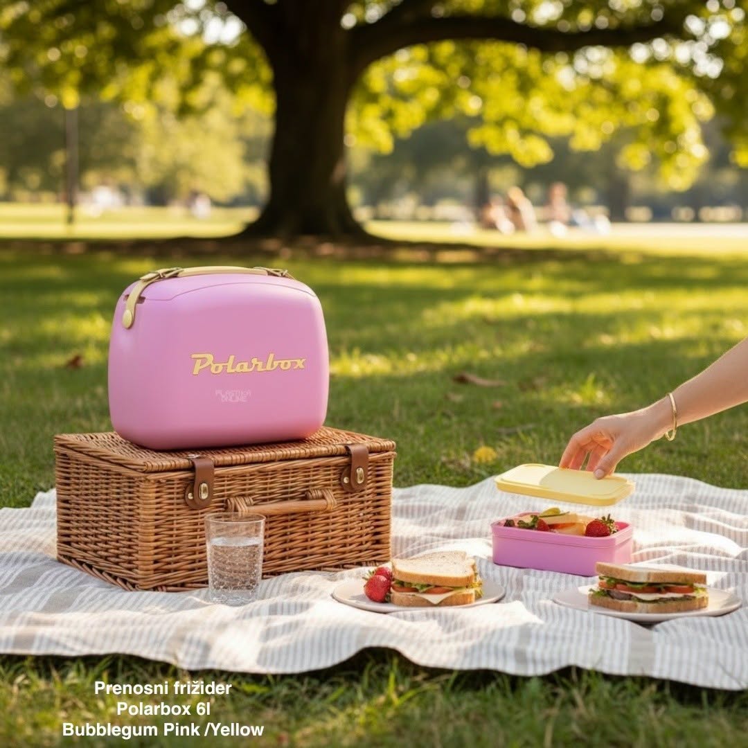 Prenosni frižider Polarbox 6L