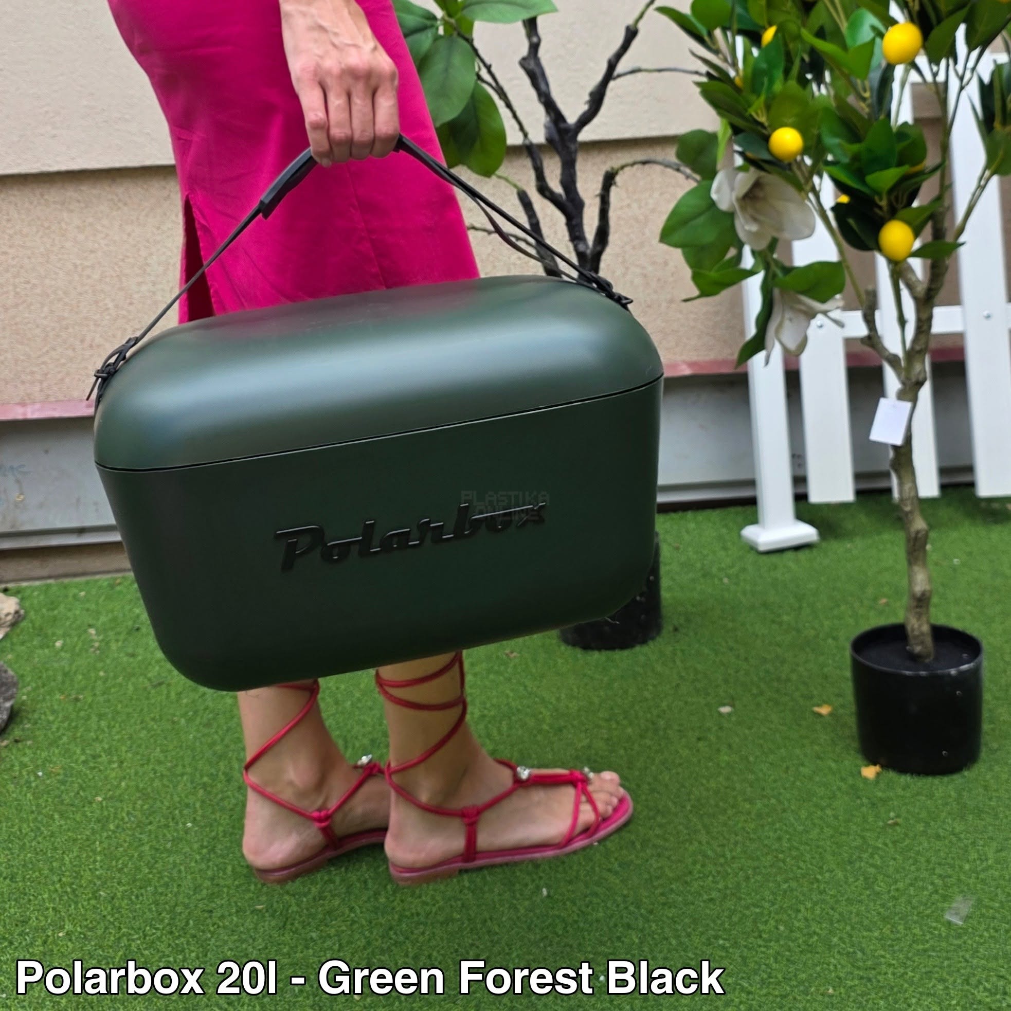 Ručni frižider Polarbox 20L