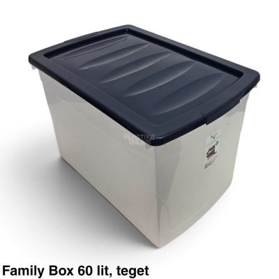 Kutija za odlaganje 60L Family box-TEGET