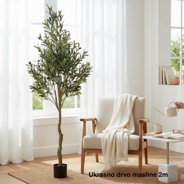 Ukrasno drvo masline 2 m , dekorativno drvo masline, vestacko drvo masline