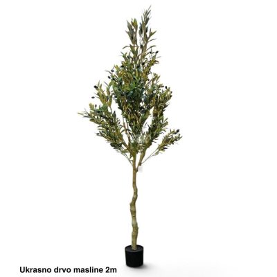 Ukrasno drvo masline 2 m , dekorativno drvo masline, vestacko drvo masline