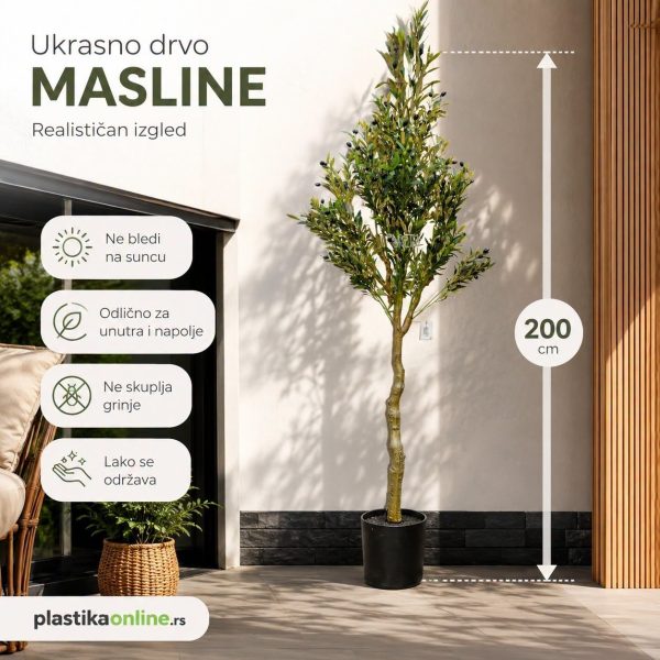 Ukrasno drvo masline 2 m , dekorativno drvo masline, vestacko drvo masline