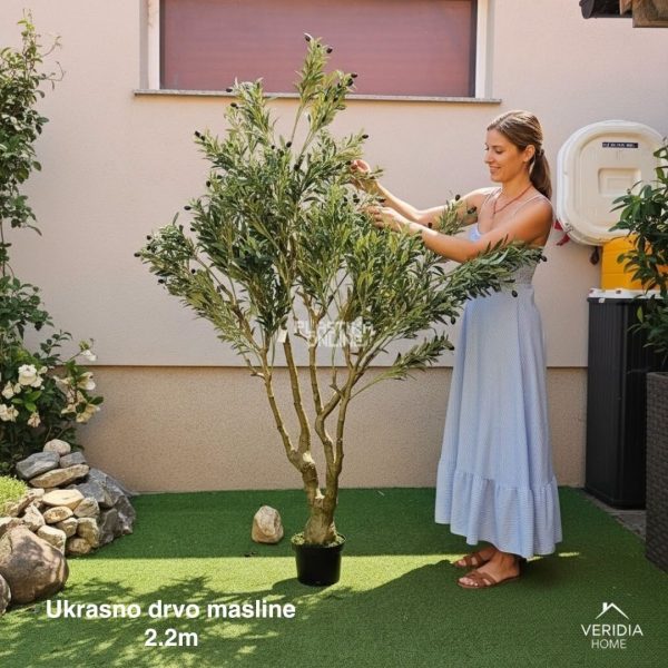 Ukrasno drvo masline 2.2 m , dekorativno drvo, veštačko cveće