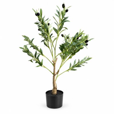 Ukrasno drvo masline 85cm